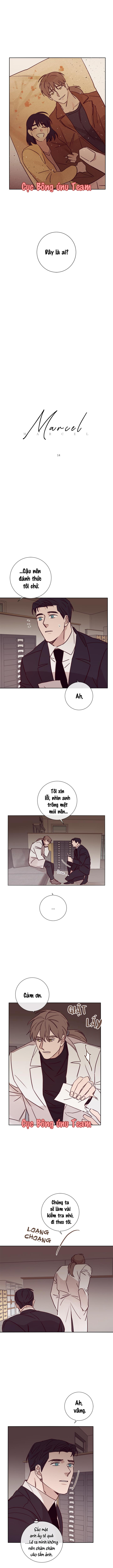 độc dược (marcel) chapter 14 1