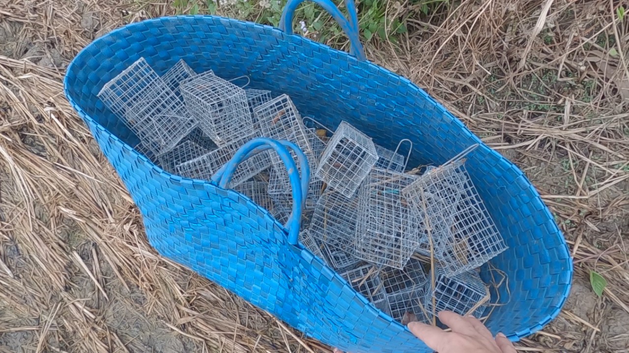 Bẫy Chuột Đồng Loại Nhỏ