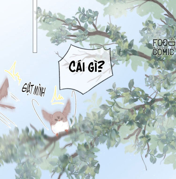 cp muốn yêu đương rồi, phải làm sao đây? chapter 4 7