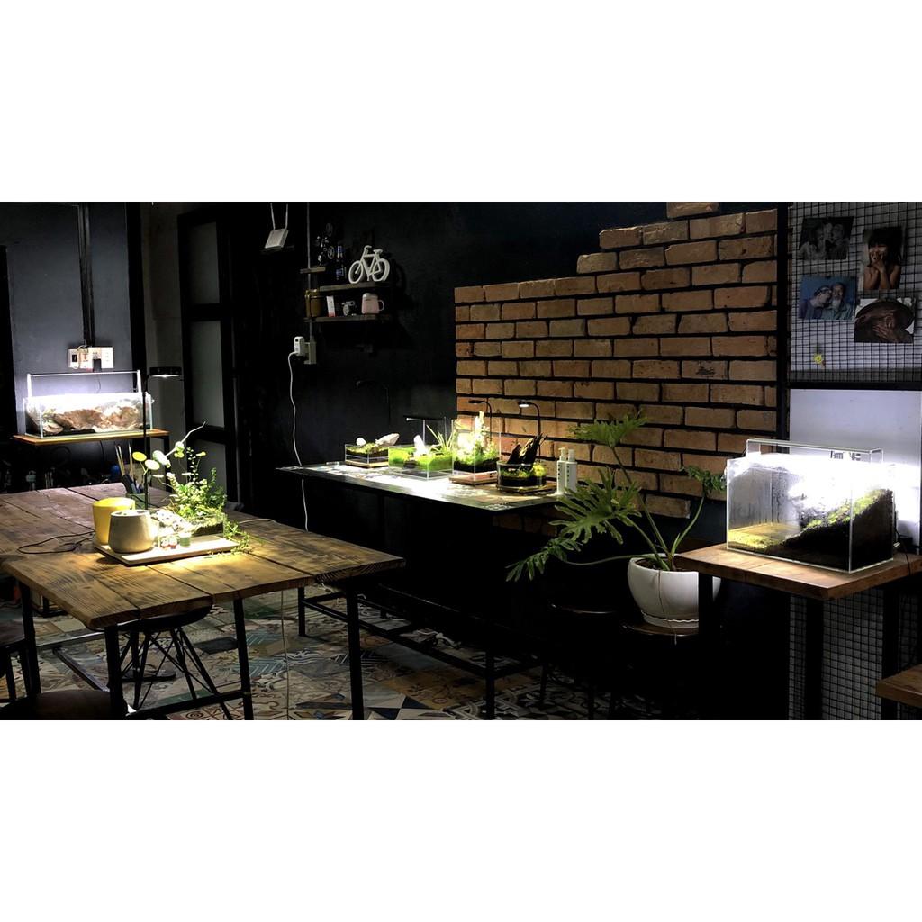 Đèn Led Kèm Đế Gỗ Bambo - Led Thớt cho bể cá cảnh, thuỷ sinh, bán cạn