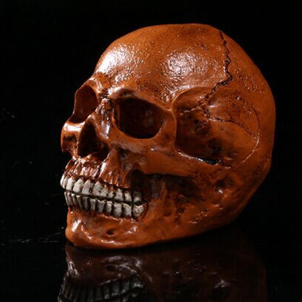 Đầu Lâu Giả Bằng Resin Dùng Trang Trí Halloween Độc Đáo