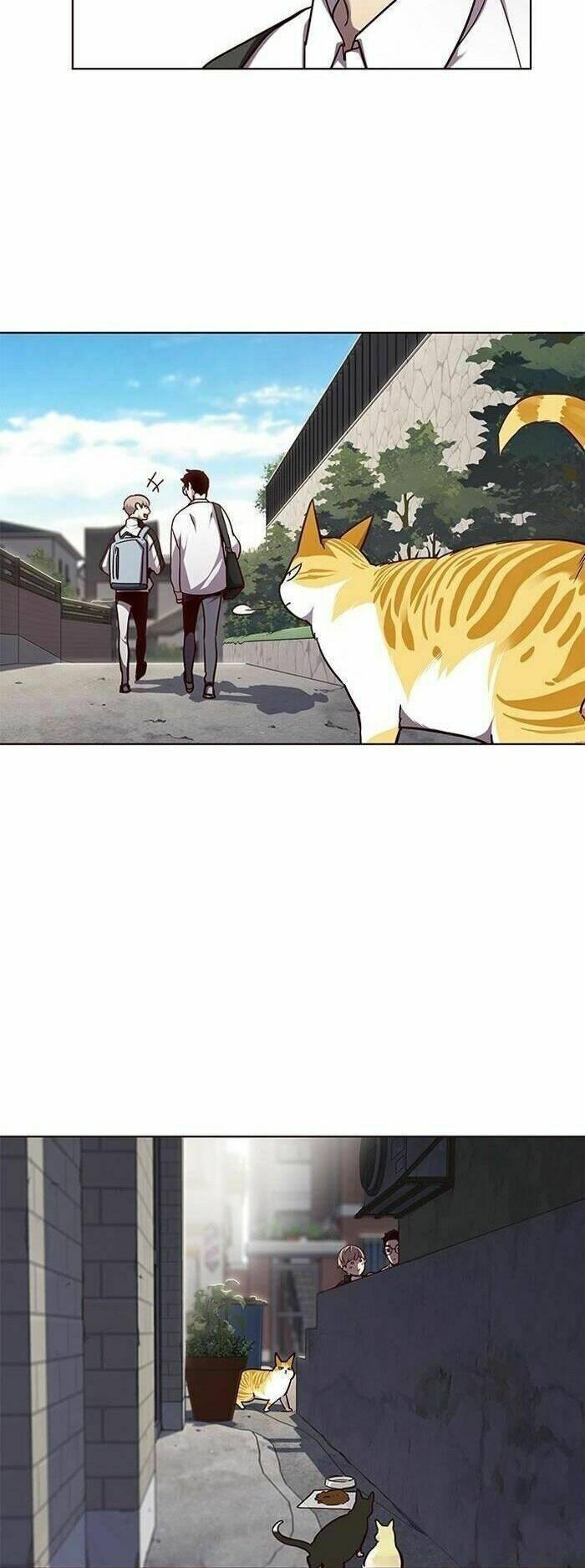 biến thân thành mèo chapter 55 22