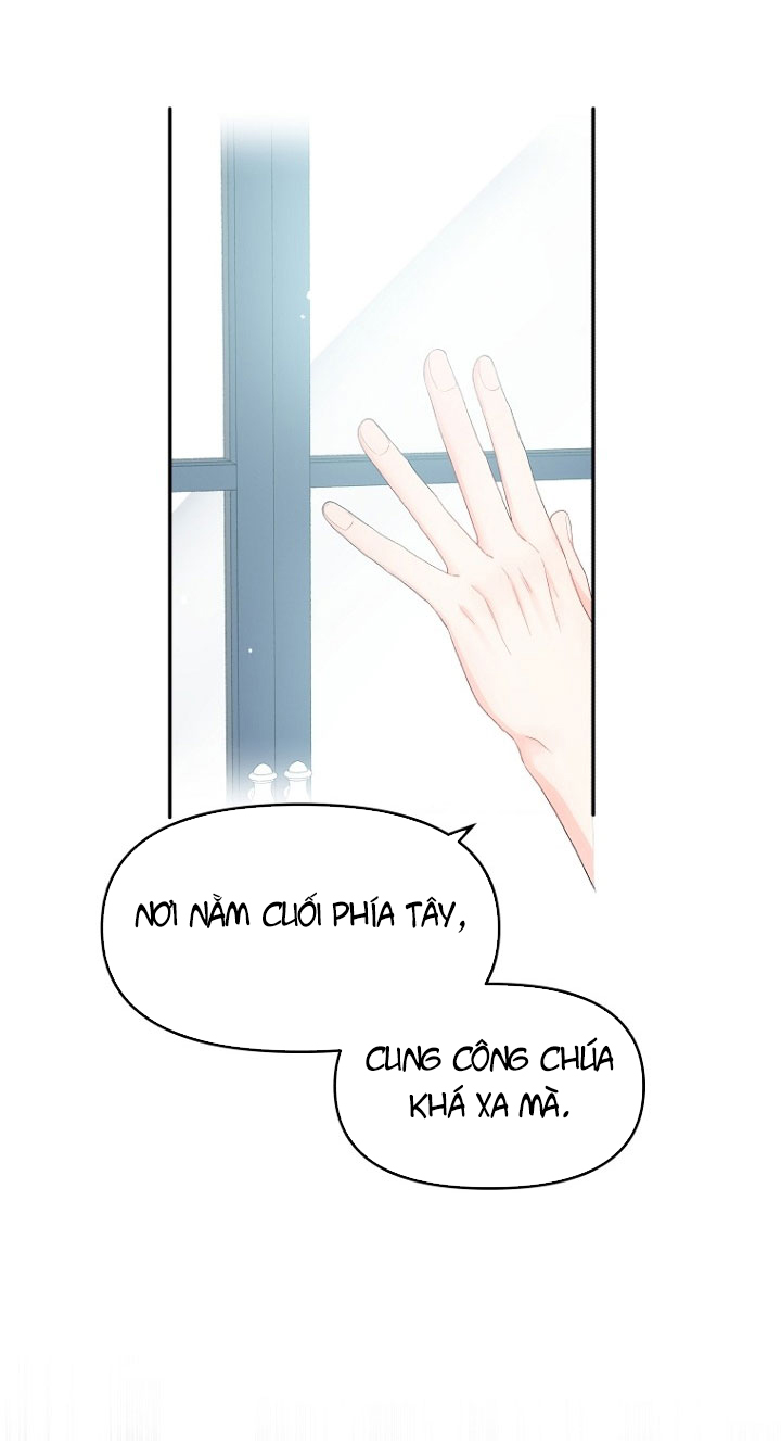 xin đừng trao tấm lòng vào cuốn sách ấy chapter 3 37