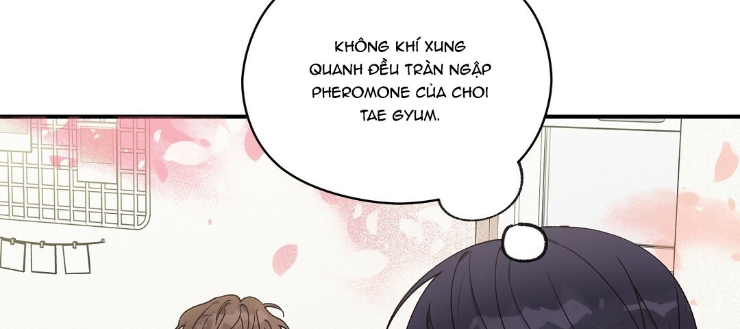 phức cảm tự ti của omega chapter 12 66