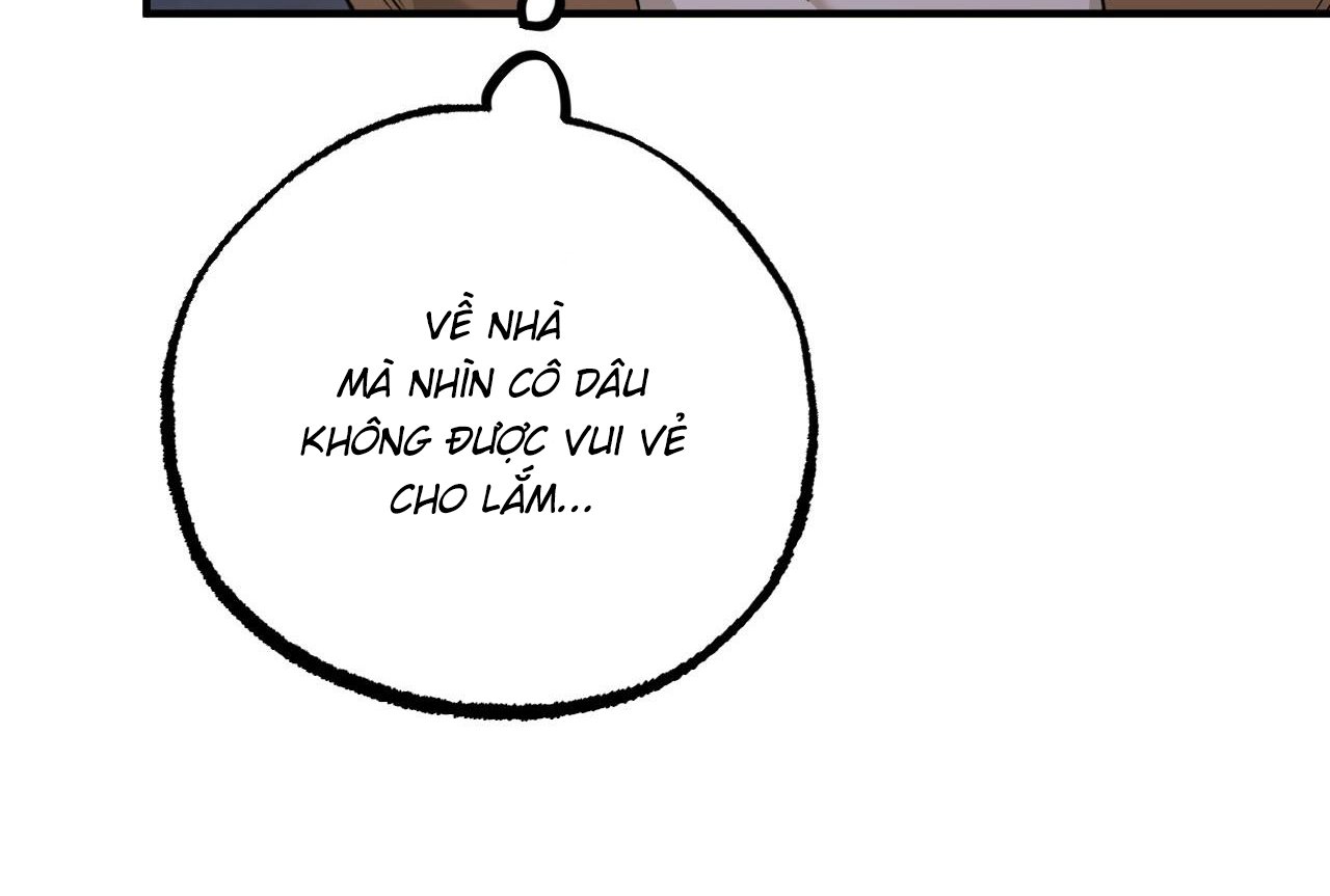 những chú thỏ của hapypy chapter 61 199