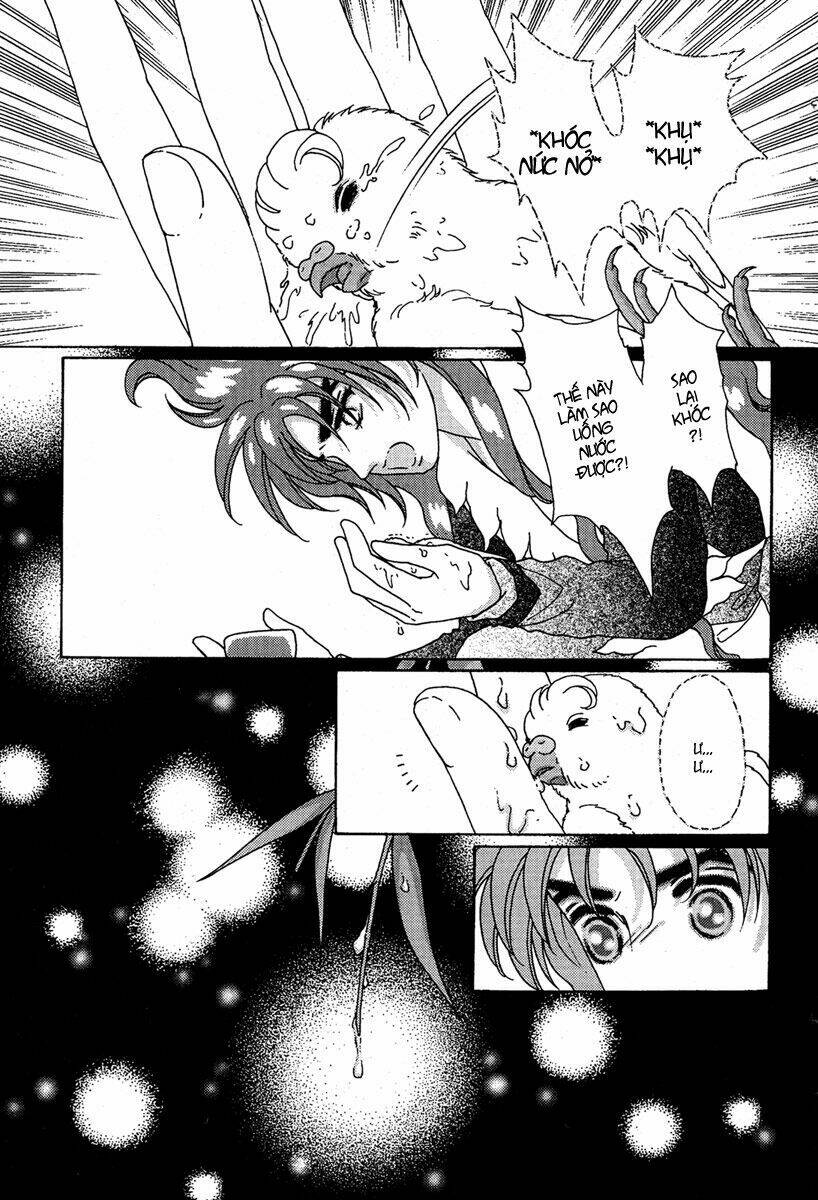 bird of youth chapter 6 14