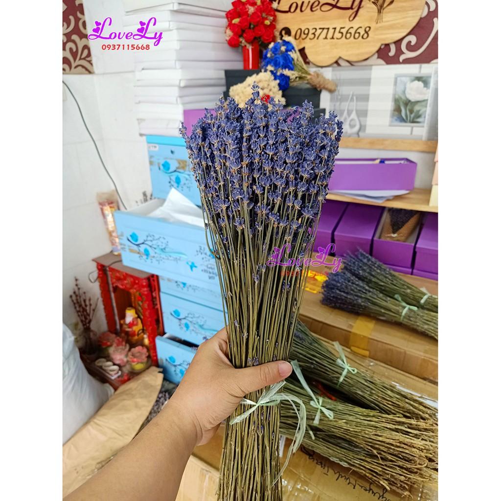 Bó hoa oải hương Lavender khô nhập Pháp 200 cành Tặng Túi Thơm Nụ Hoa Lavender