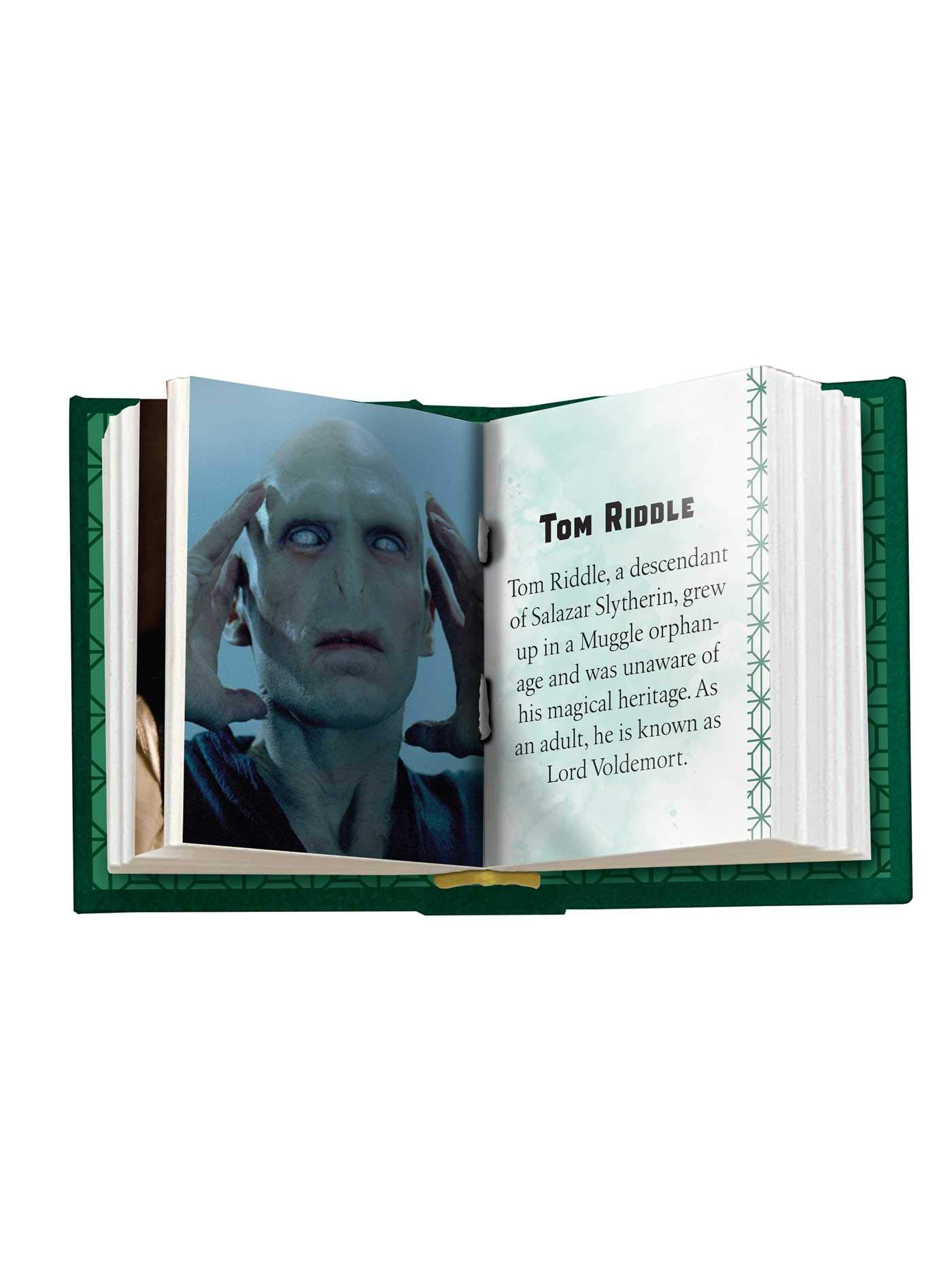 Harry Potter: Slytherin (Tiny Book)