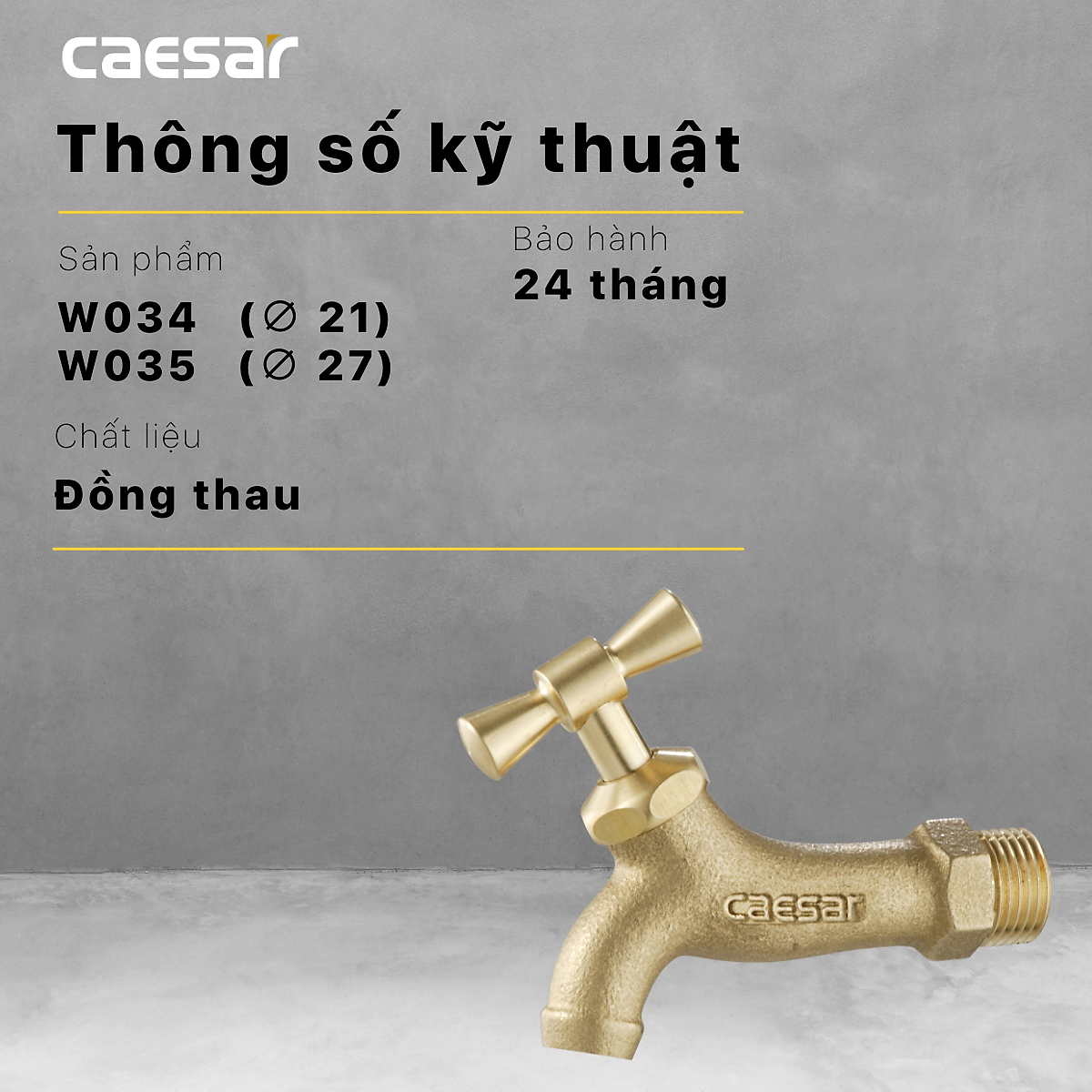 Vòi Lạnh Gắn Tường - W034