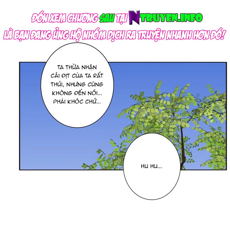 thông linh phi chapter 643 13