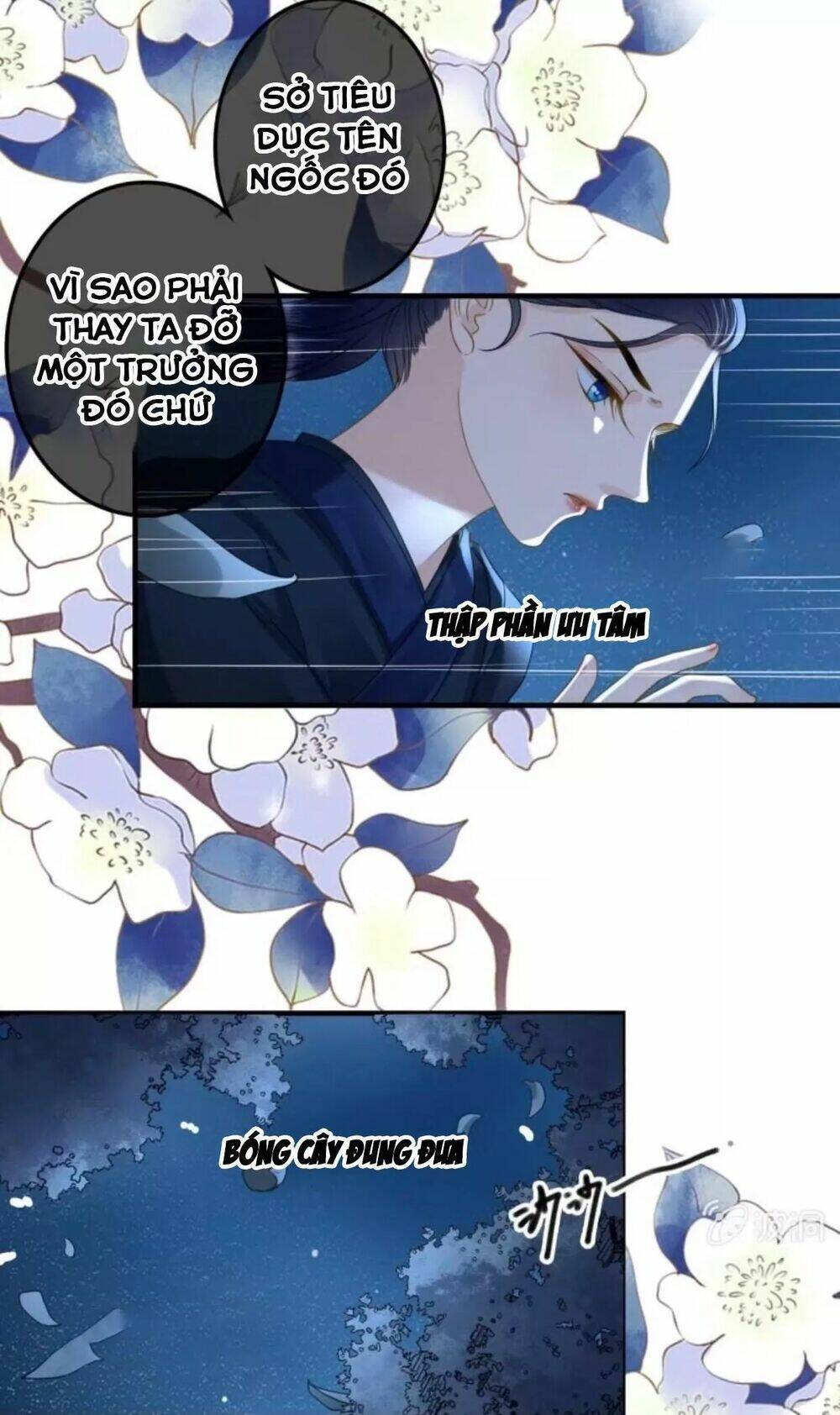 sủng phi của vương chapter 108 16