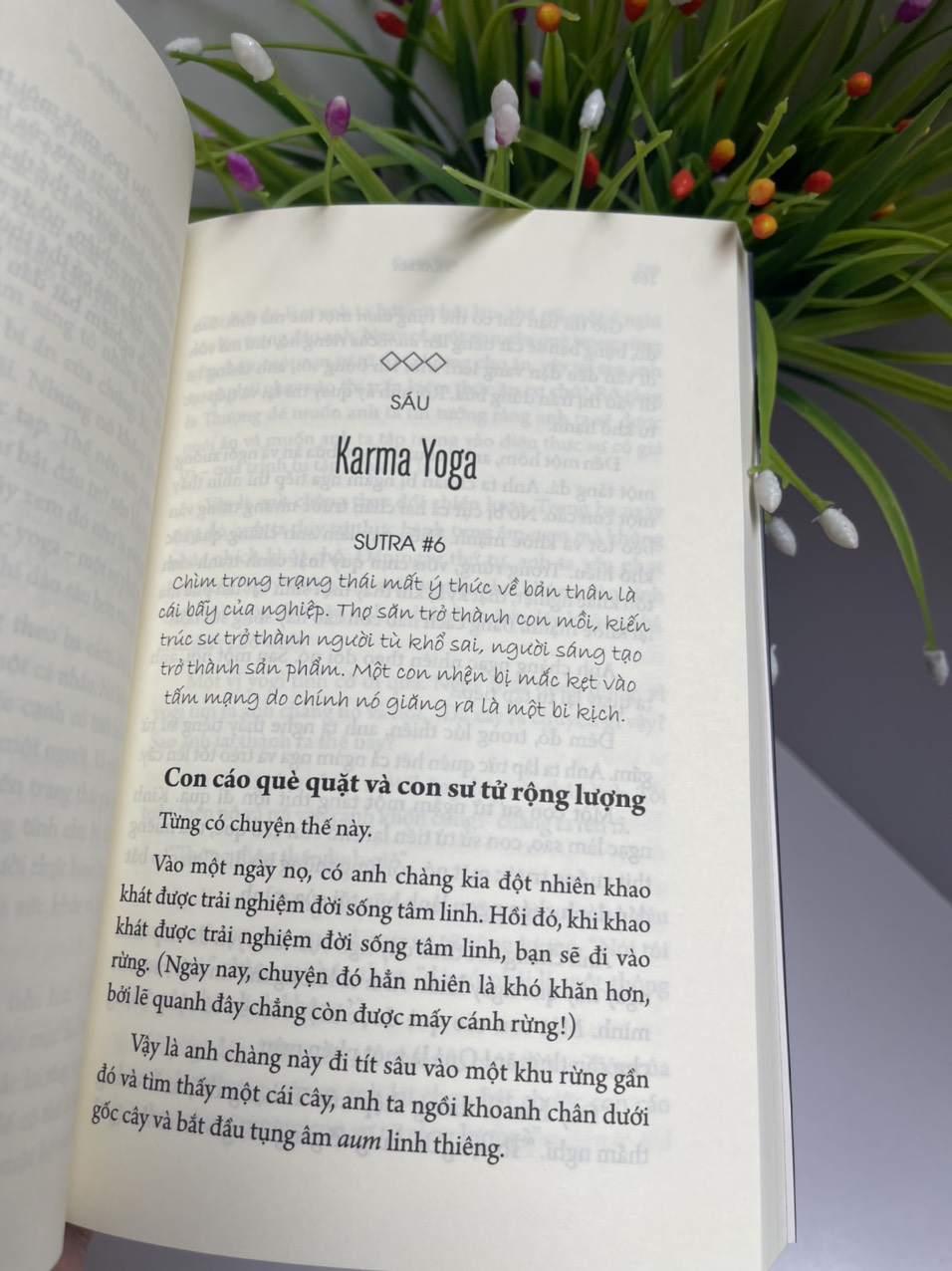 KARMA NGHIỆP - CHỈ DẪN KIẾN TẠO VẬN MỆNH CỦA MỘT YOGI – Sadhguru – Tùng dịch - Thái Hà - NXB Thế Giới