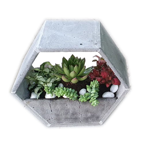 CHẬU HOA LỤC GIÁC TRỒNG CÂY XINH XẮN BẰNG ĐÁ ONG XÁM TỰ NHIÊN