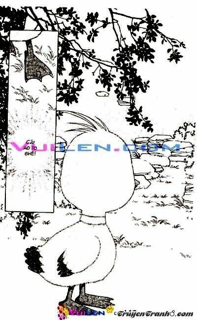 đóa hoa yêu kiều chapter 3 144