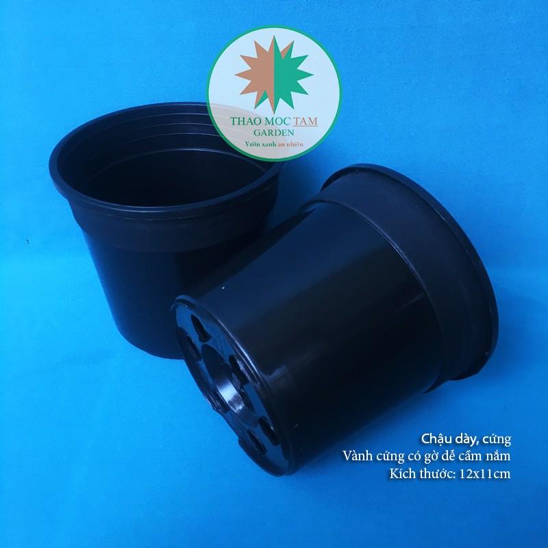 Chậu nhựa dày 12x11cm – Chậu nhựa cứng, dày chất lượng trồng sen đá và cây hoa nhỏ, ươm lan kiếm, lá kiểng