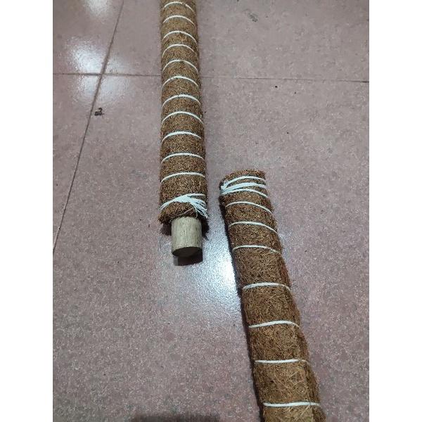 Trụ cây dây leo sơ dừa. lõi gỗ, sợi cotton 65-130cm