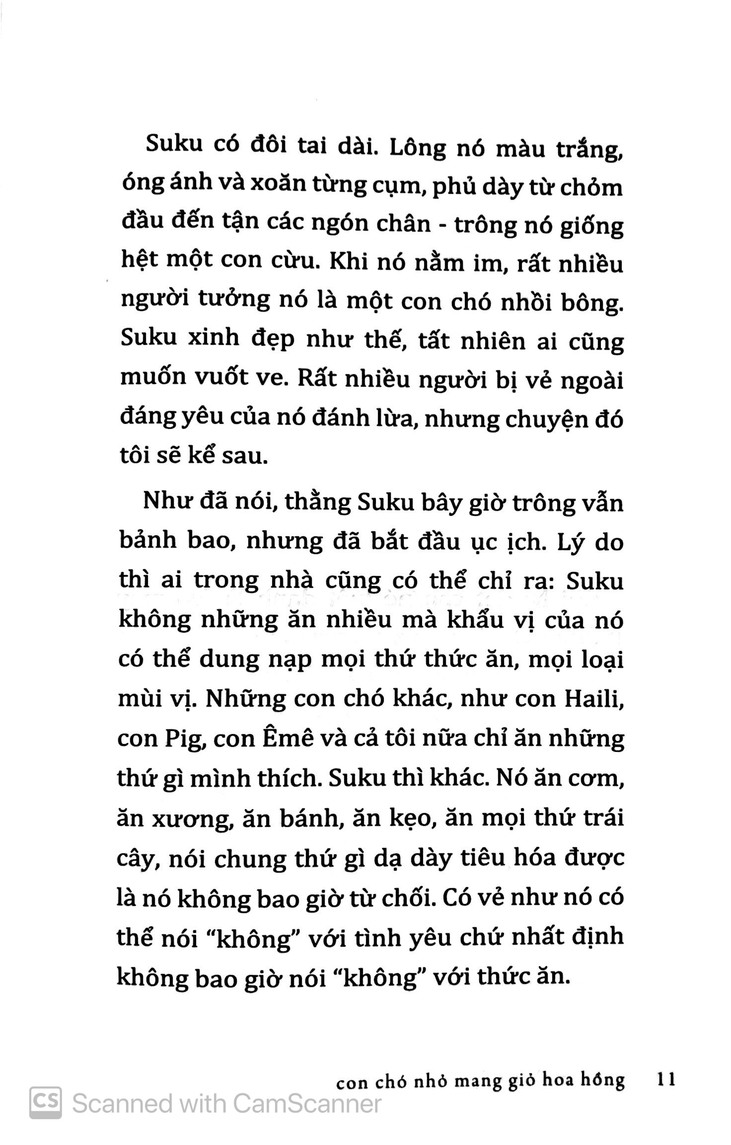 Con Chó Nhỏ Mang Giỏ Hoa Hồng (Tái Bản 2020) (Đ)