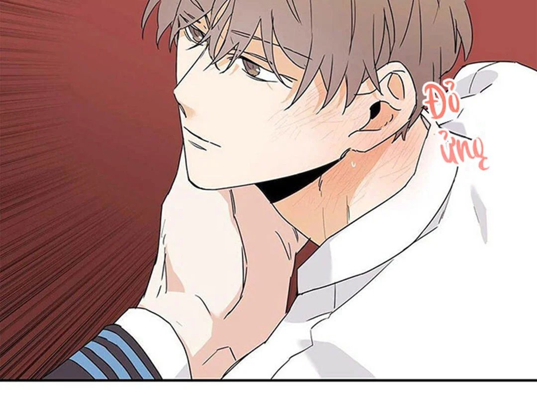 guide cấp b chapter 8 101