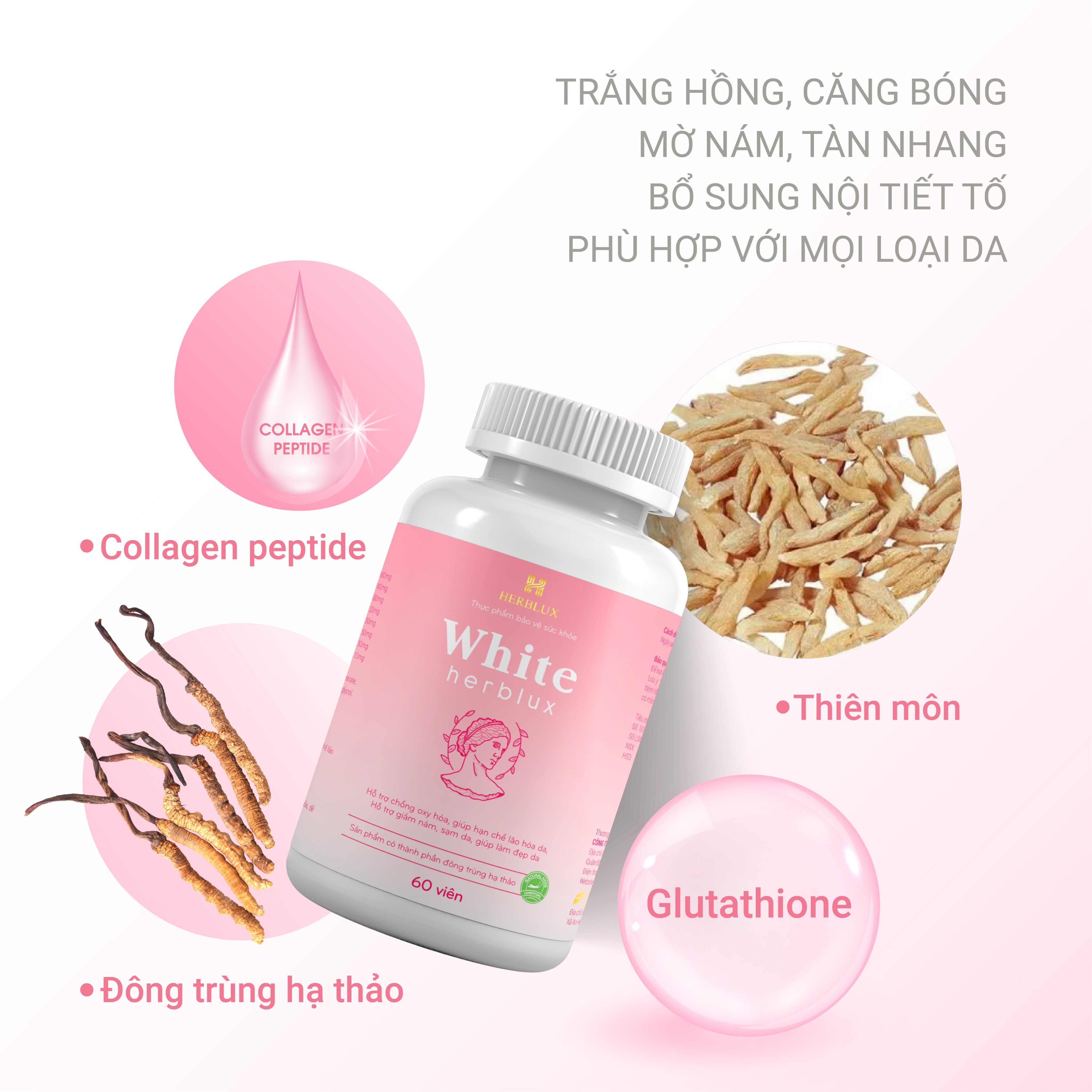 Viên Uống Trắng Da WHITE HERBLUX Chống Lão Hóa Dưỡng Cấp Ẩm Da Mặt Body Căng Bóng Giảm Thâm Nám Tàn Nhang Mụn Bổ Sung Collagen Đông Trùng Hạ Thảo Tăng Nội Tiết Tố Nữ