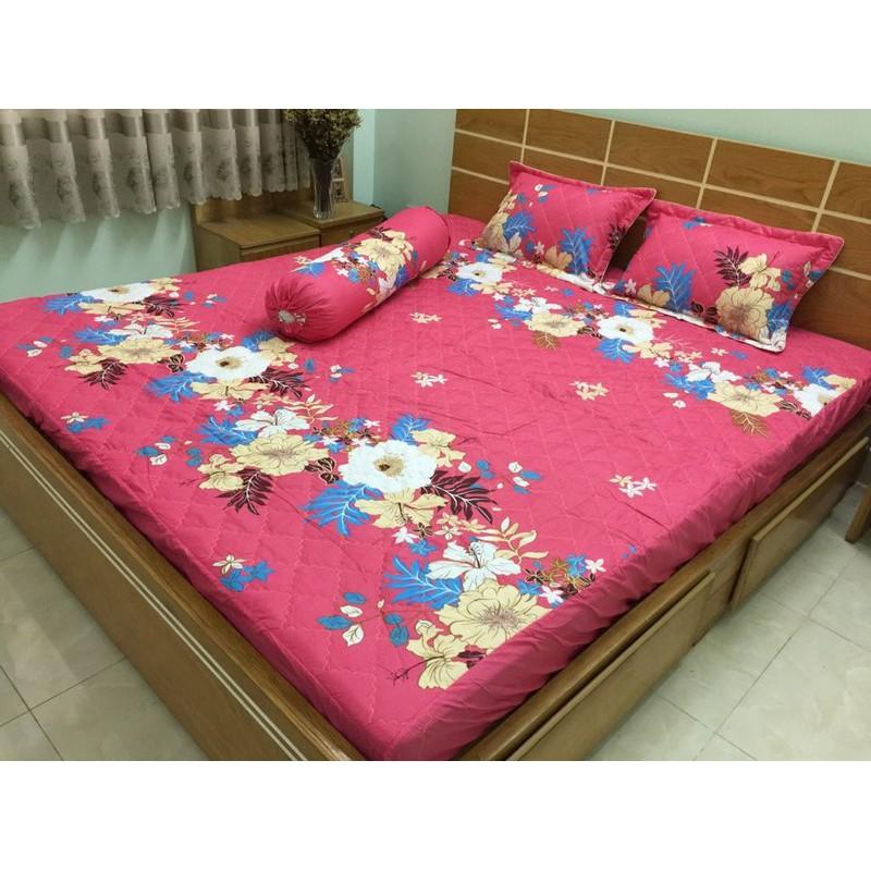 Bộ chăn ga gối Cotton Poly bọc thun và chần gòn 3 lớp nhiều mẫu 1m8x2mx20cm