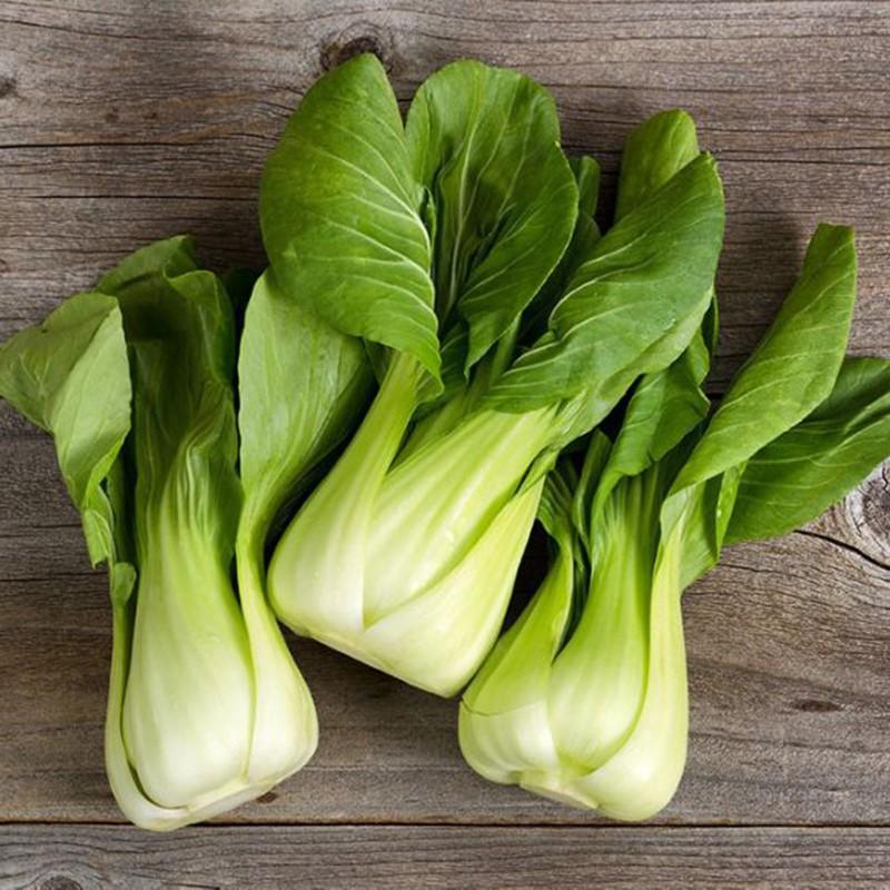 Hạt Giống Rau Cải Thìa