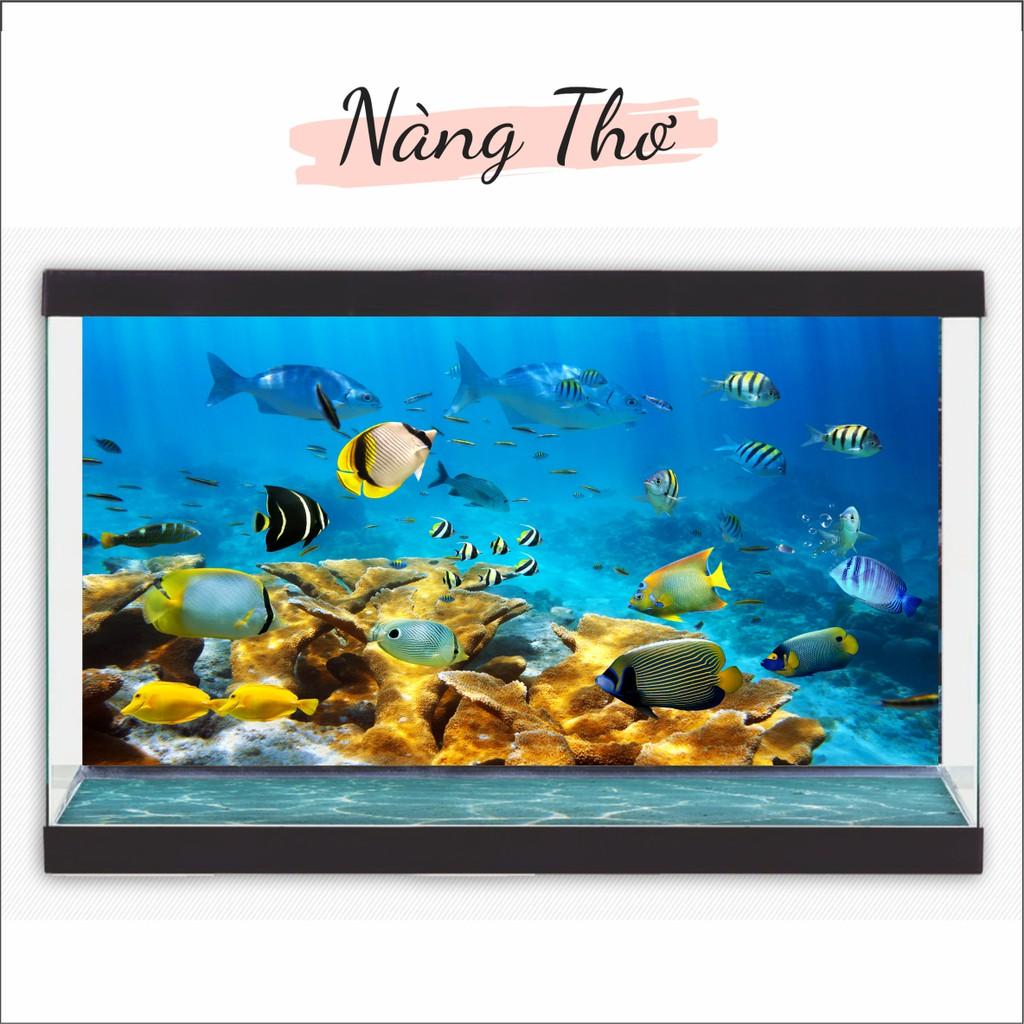 Decal dán Hồ Cá 3D_SIÊU ĐẸP _DECAL VIP