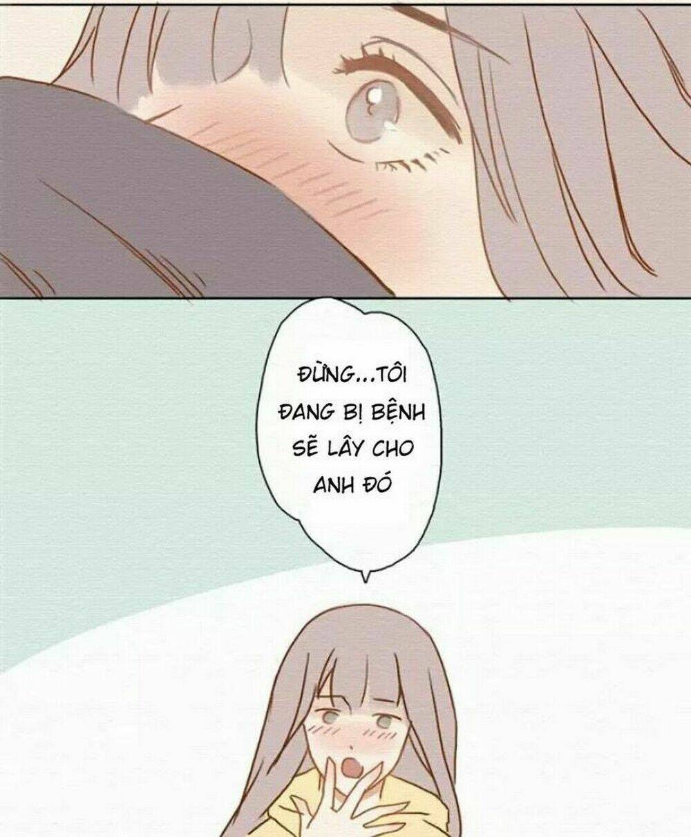 không ai là một hòn đảo cô độc chapter 1 54