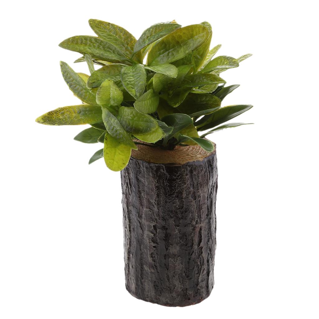 Tổng quan plants in room decor Ý nghĩa và cách sử dụng cây trang trí trong phòng