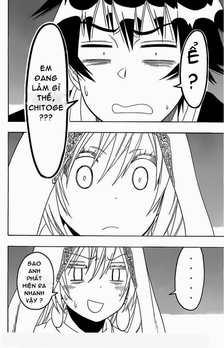 nisekoi - tình yêu giả tạo chapter 139 10