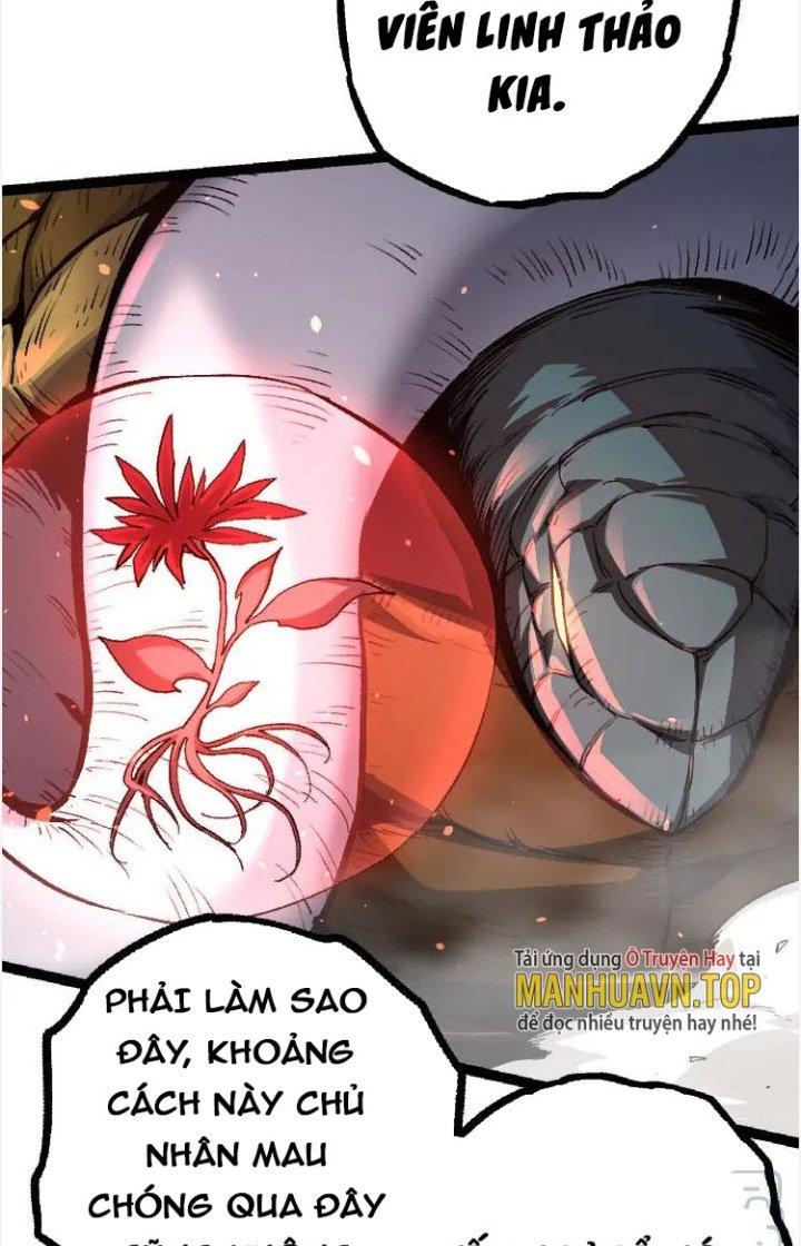từ cây cổ thụ bắt đầu tiến hóa chapter 25 49