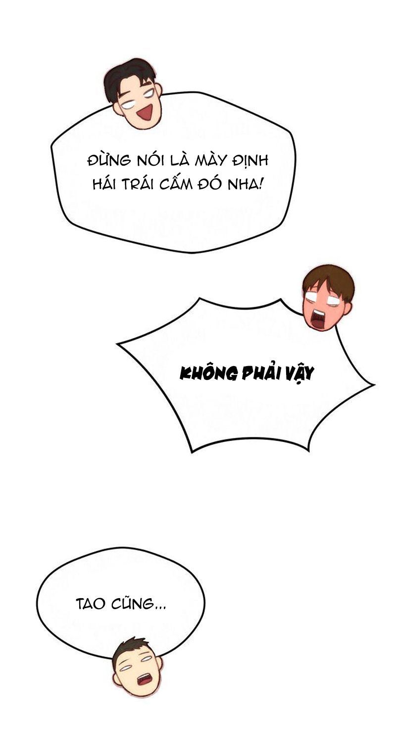 cô gái bé nhỏ của tôi chapter 1.1 47