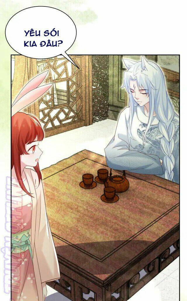 hắc hóa nam chính trực tuyến nuôi thỏ chapter 44 6