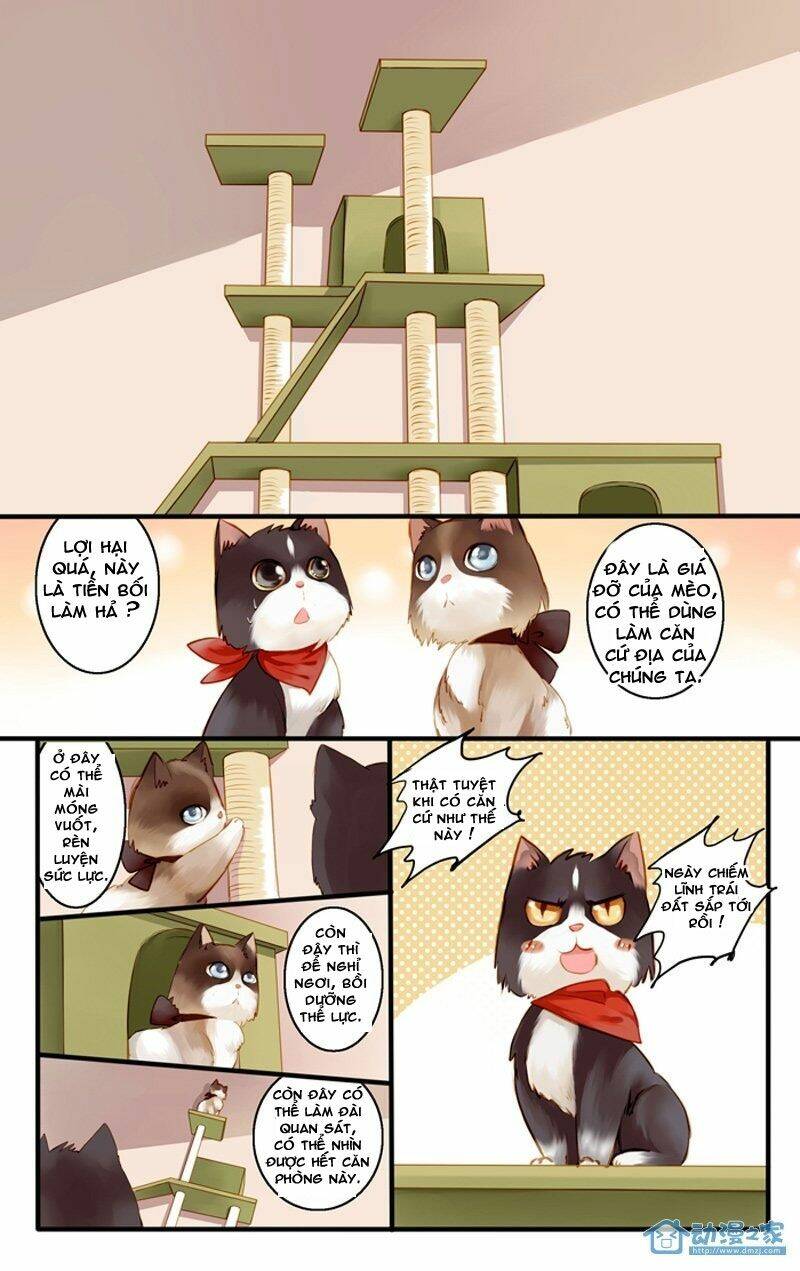 hằng mộng nam thần chapter 22 14