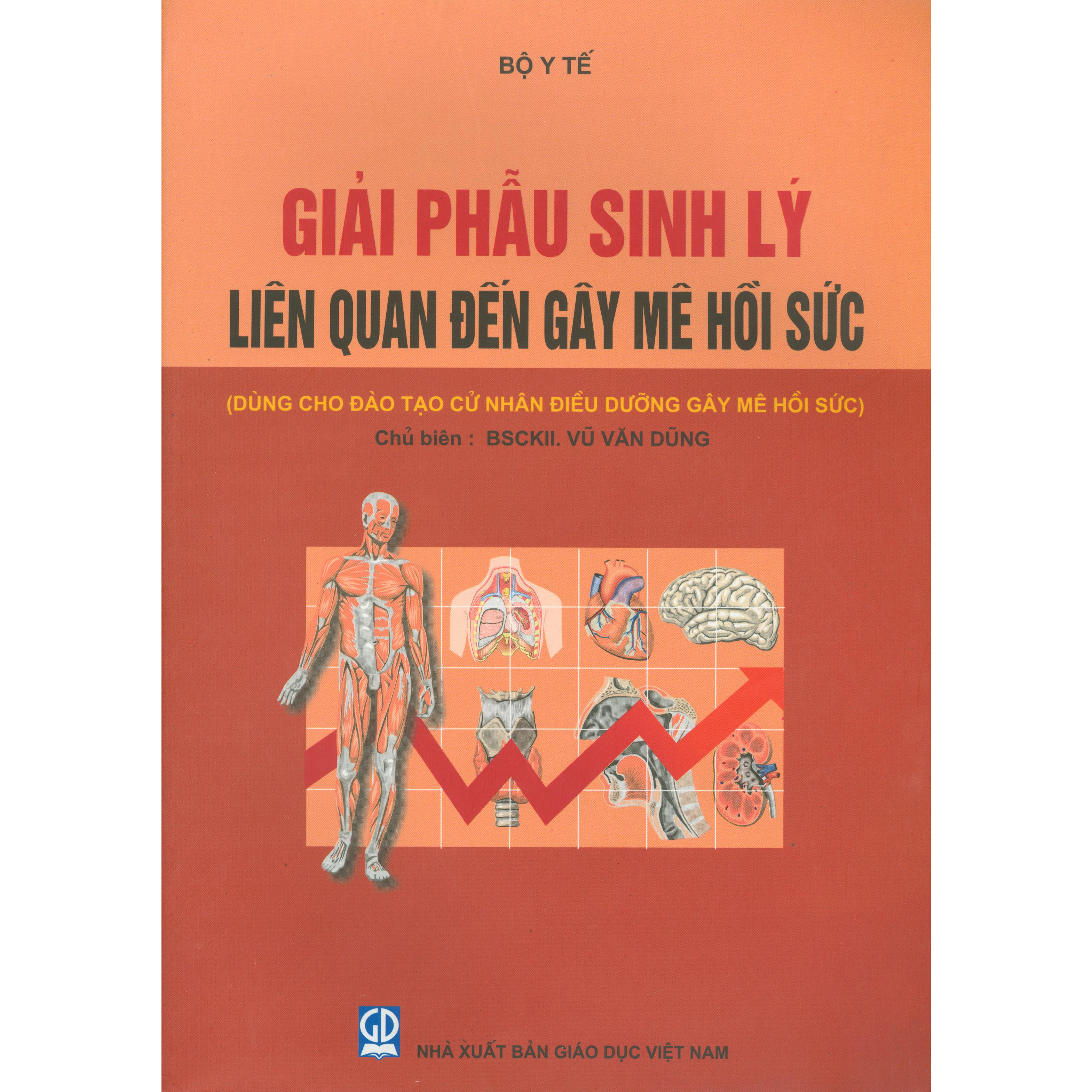 Giải Phẫu Sinh Lý Liên Quan Đến Gây Mê Hồi Sức