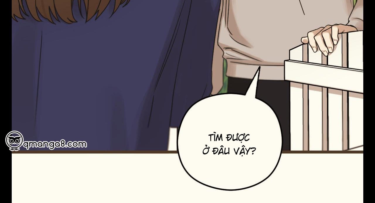 tương phùng chapter 37 244