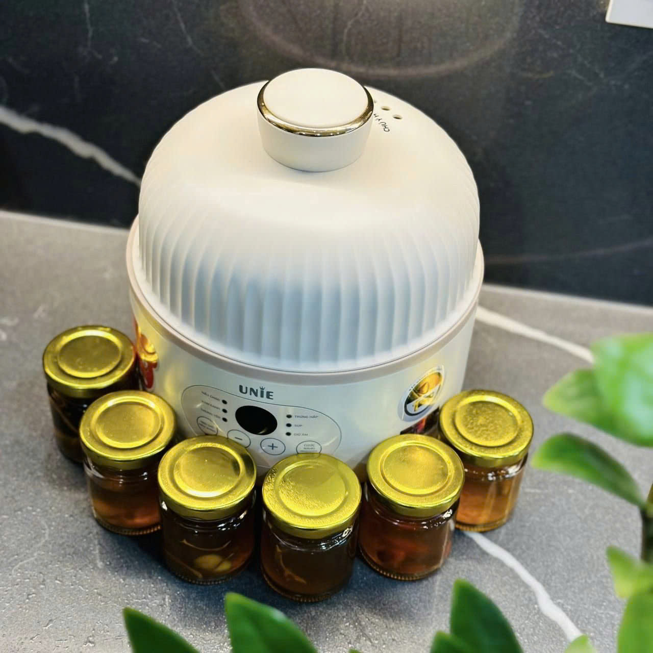 [Hàng chính hãng] Nồi nấu chậm Unie USC102W - Hẹn giờ 12 tiếng, xửng hấp tiện dụng - Thố gốm Ceramic cao cấp