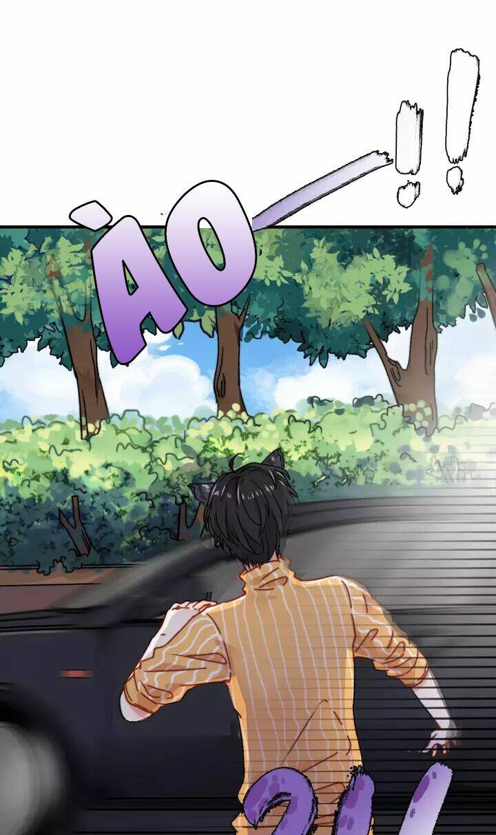 thập quang mật ngữ chapter 11 6