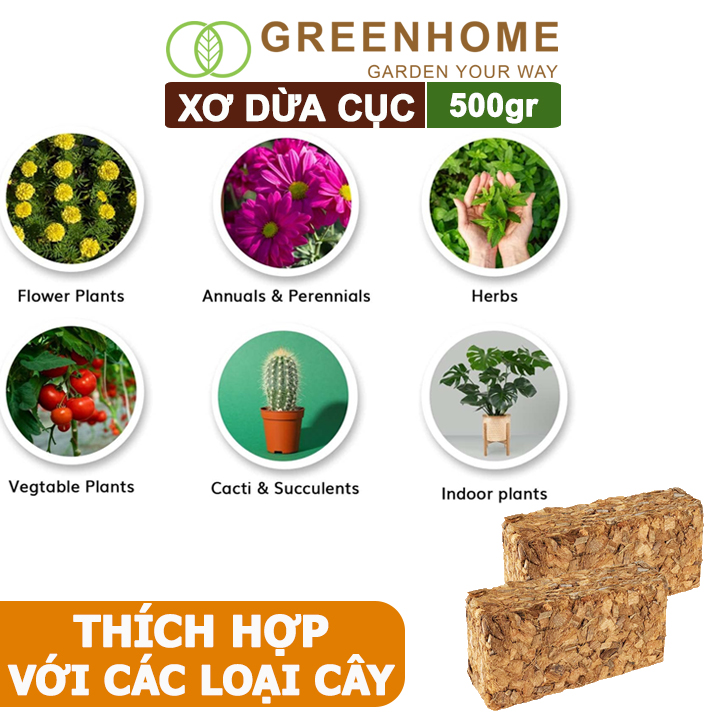 Xơ Dừa Cục Greenhome, Viên 500gr, Sơ Dừa Nén, Nở Gấp 5 Lần, Kích Thích Rễ, Thoát Nước Tốt Giá Thể Kiểng Lá, Phong Lan