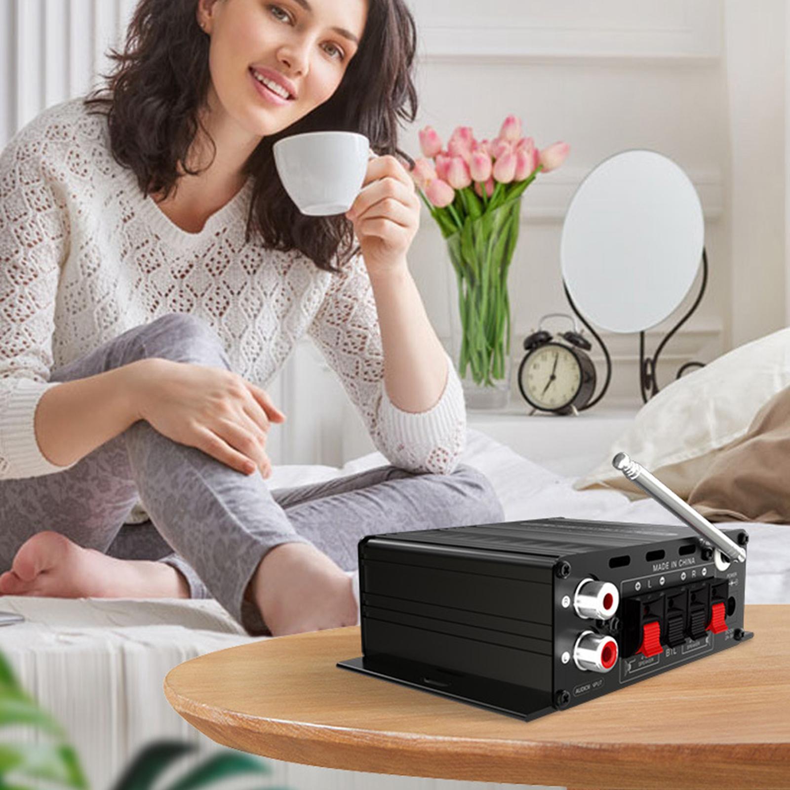 2 Channel Car  MP3 Ape   WMA Format DC 12V Amp for Mobile Phone