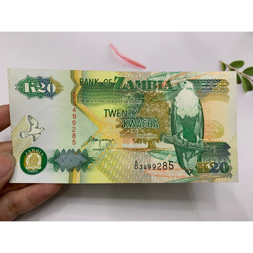 Tờ tiền Zambia cổ 20 Kwacha hình con chim - ở châu Phi - tặng phơi nylon bảo quản tiền