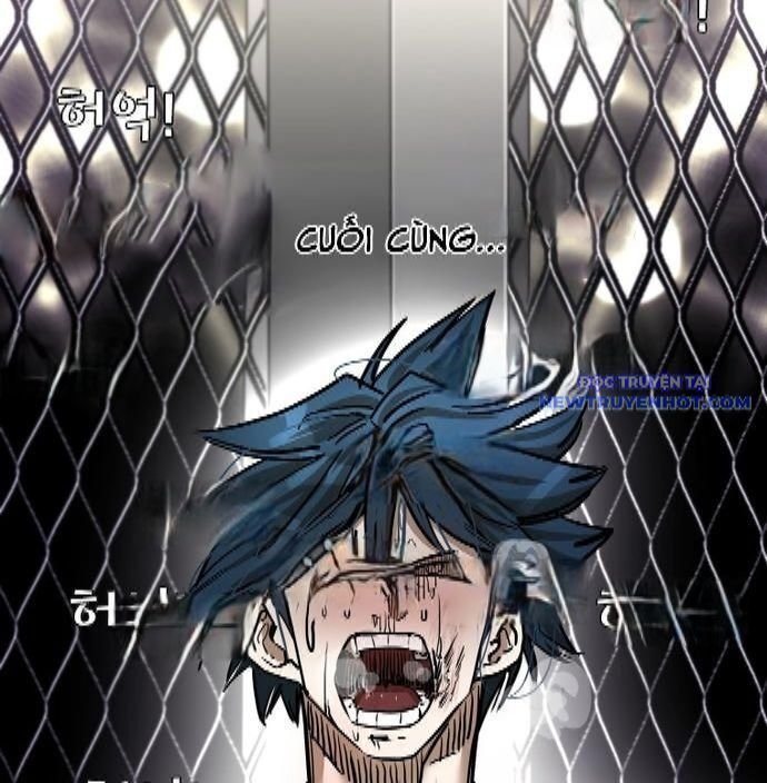 shark - cá mập chapter 338 157