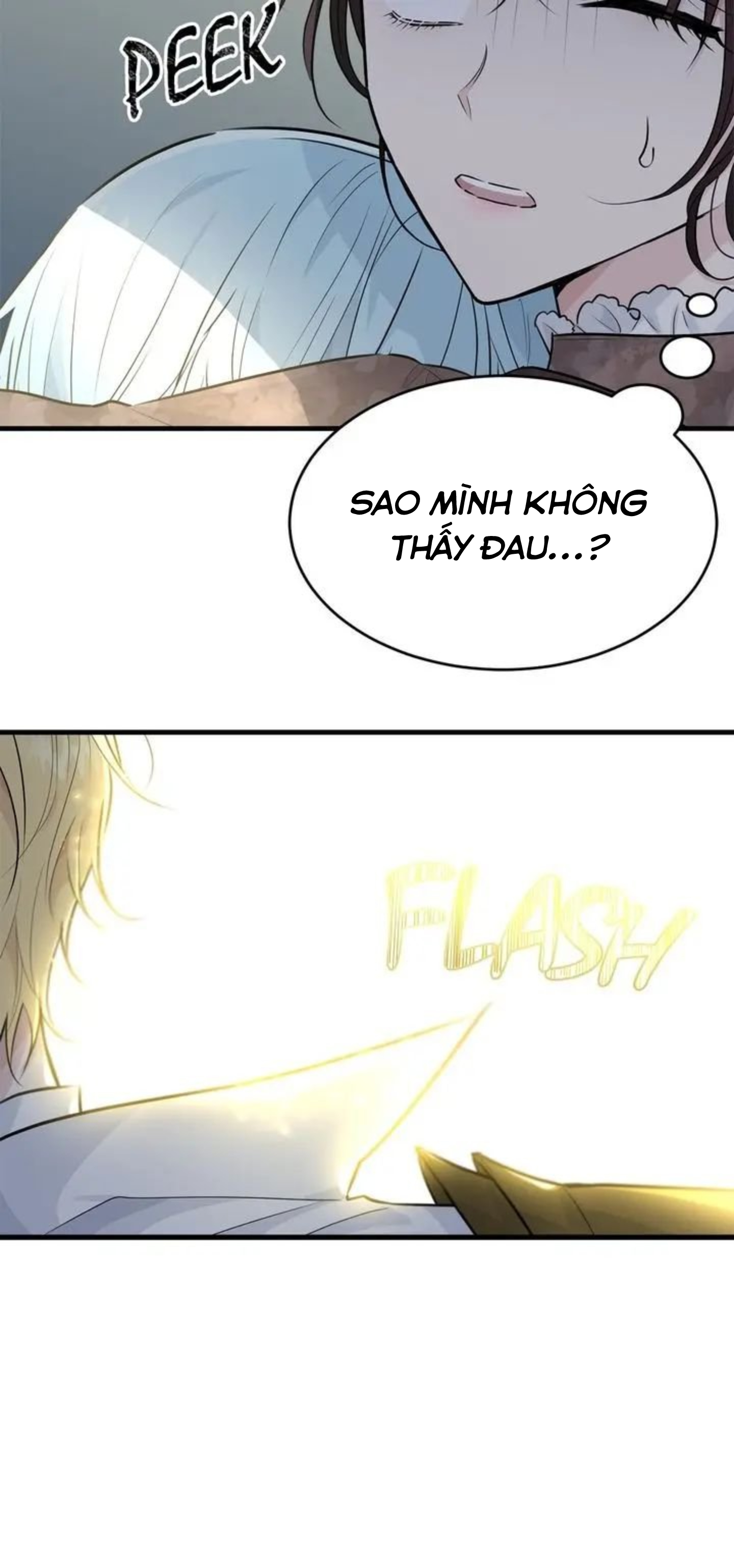 vị tiểu thư tôi từng theo hầu đã trở thành thiếu gia chapter 32 29