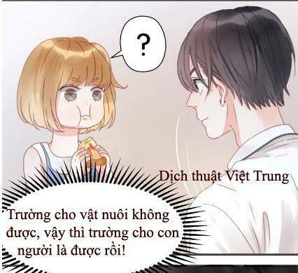 lượm được 1 tiểu hồ ly chapter 6 36