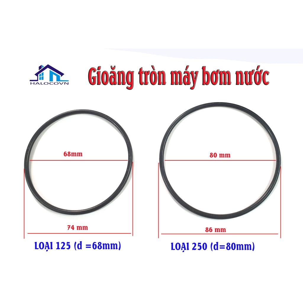 Gioăng máy bơm nước 125 250