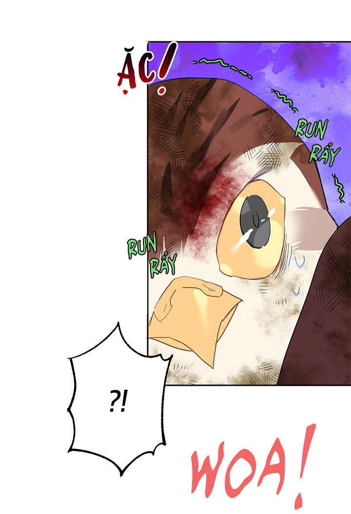 công chúa của loài chim chapter 12 9