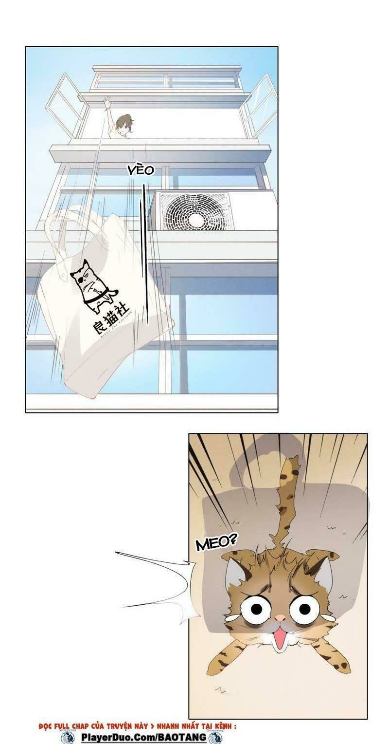 thập nhị hắc miêu chapter 1 18