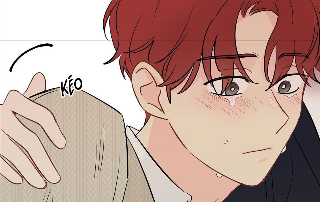 chuyện quái gì với giấc mơ đó vậy chapter 47 15