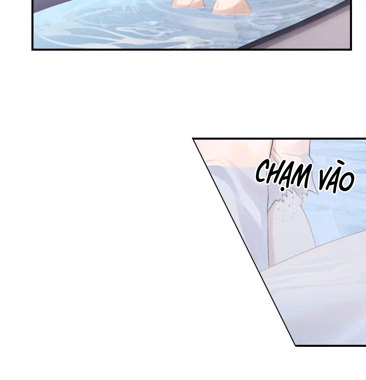 chấp sự thỏ tai cụp chapter 41 6