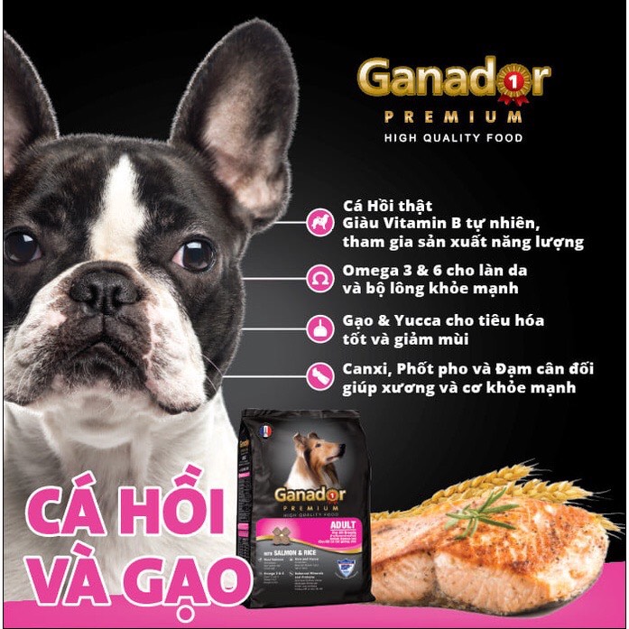 20KG Thức ăn cho chó trưởng thành Ganador vị cá hồi và gạo- Ganador Adult with Salmon &amp; Rice - Thức ăn hạt cho Chó