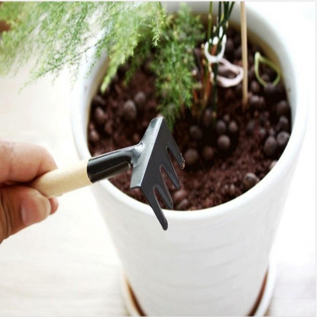 Bộ Dụng Cụ Làm Vườn Mini 3 Món Tiện Dụng